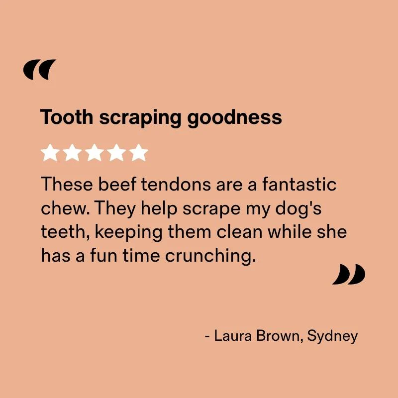 Air Dried Beef Tendons (Paddywacks) - Image 6