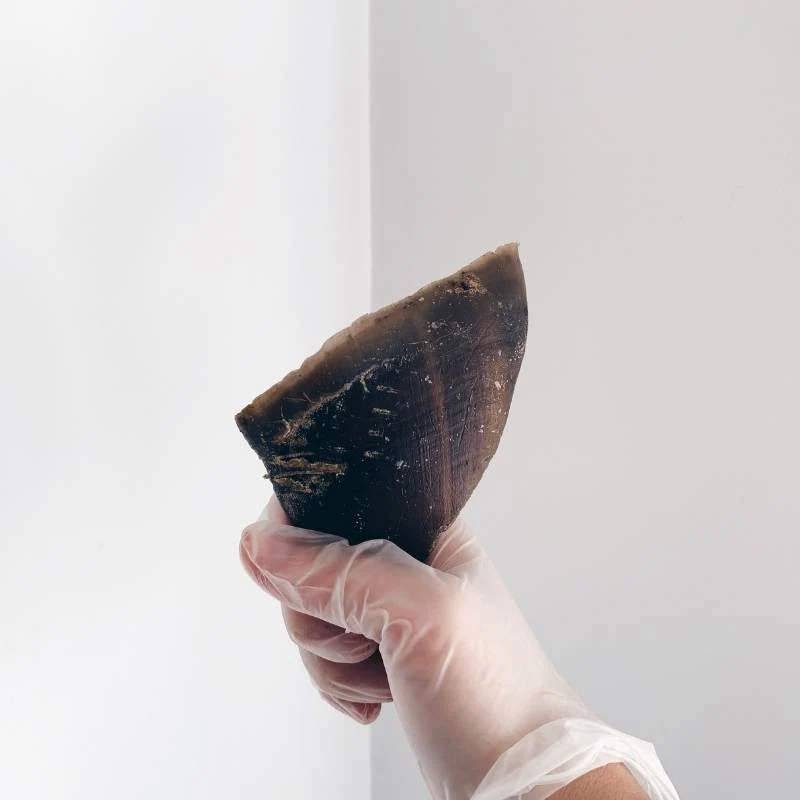 Cow Hooves - Image 5