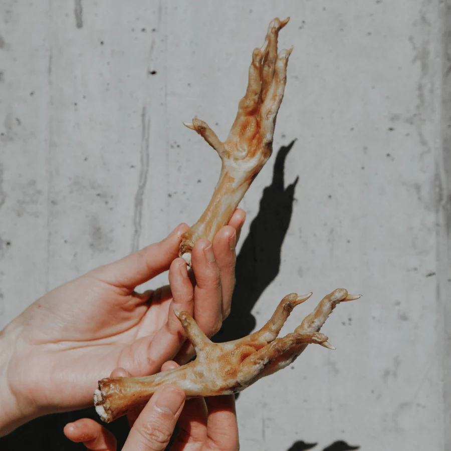 Air Dried Chicken Feet - Image 7