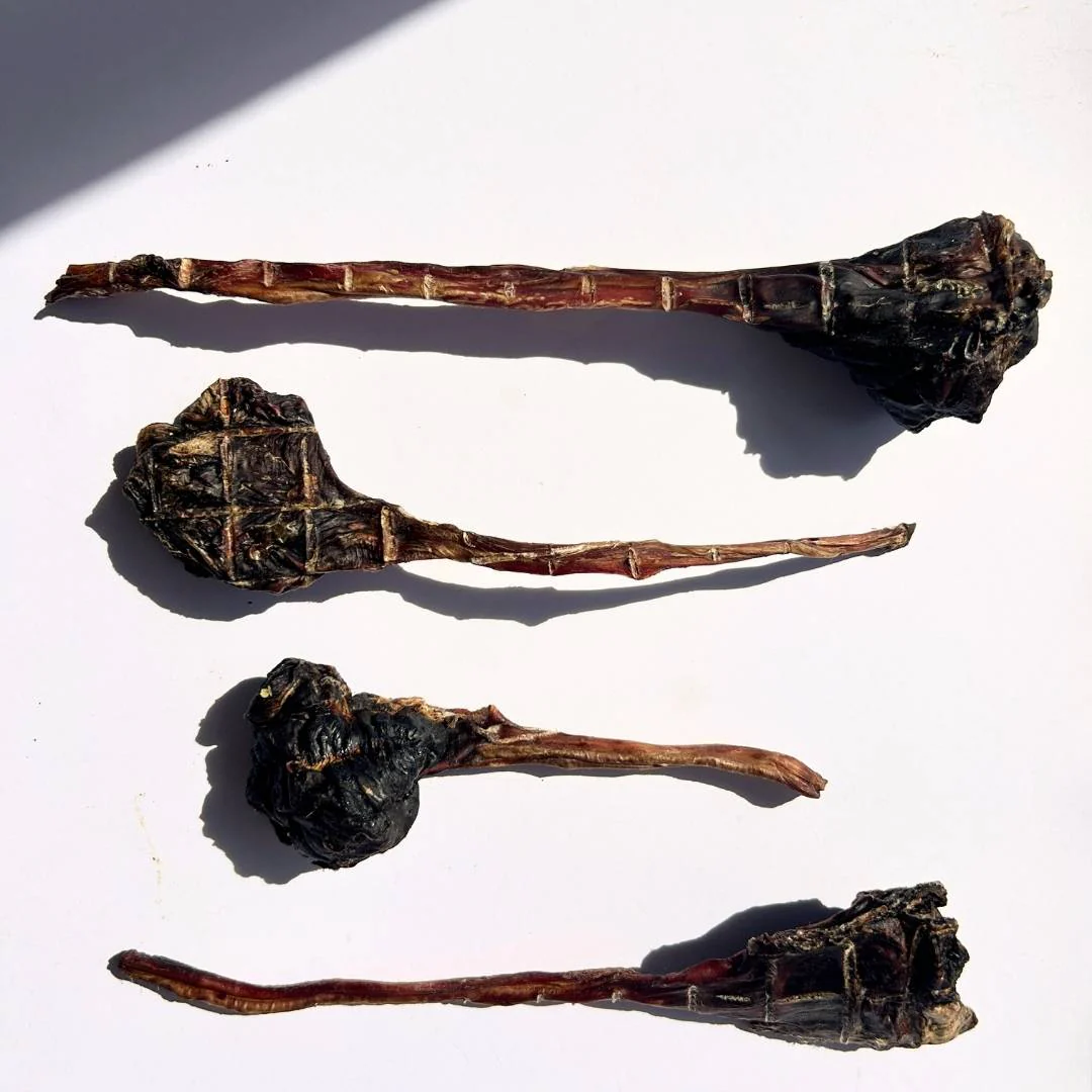 Long Roo Tendons - Image 10