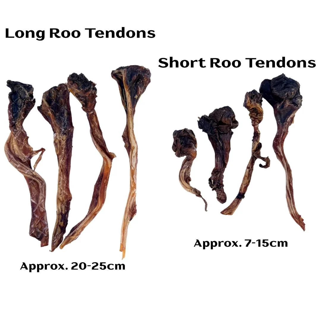 Short Roo Tendons - Image 7