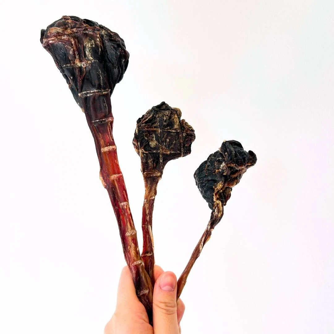 Long Roo Tendons - Image 8