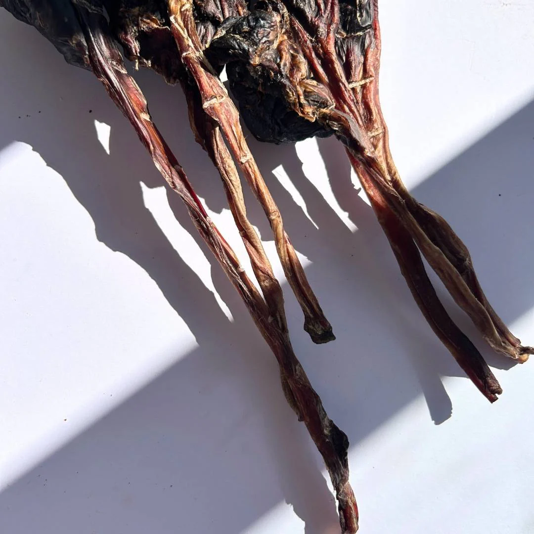 Long Roo Tendons - Image 9