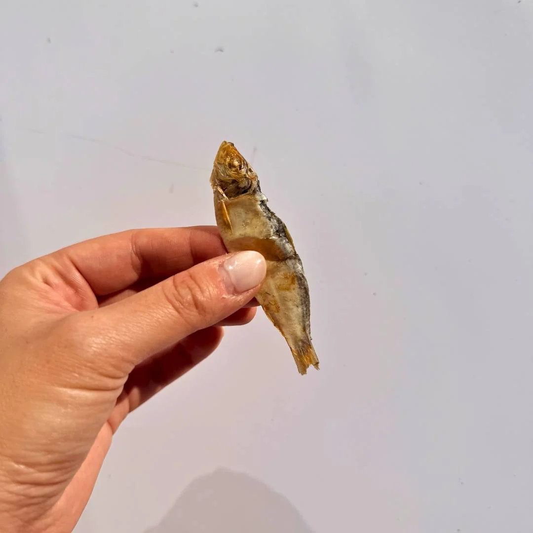 *NEW TASTE TEST* Fishoes - Image 3