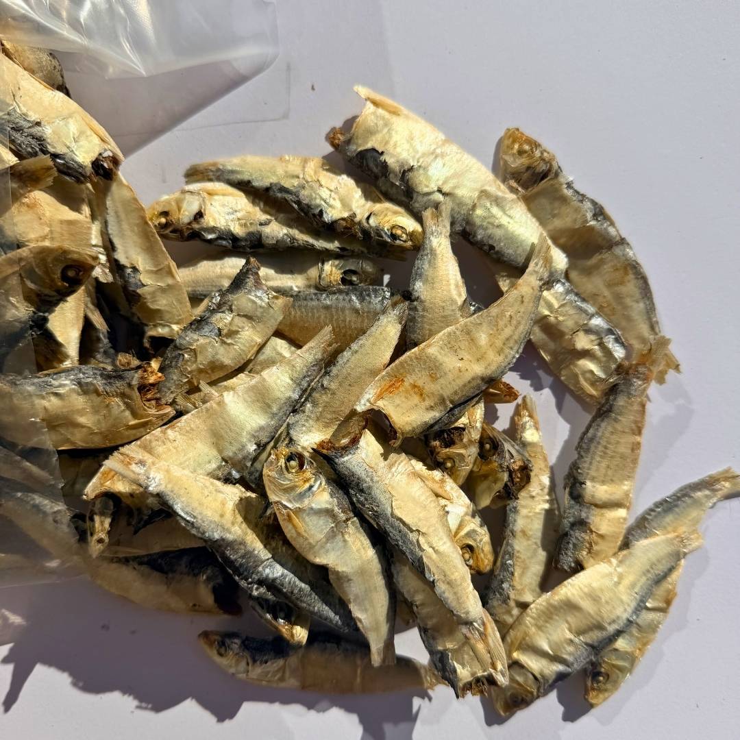 *NEW TASTE TEST* Fishoes - Image 6