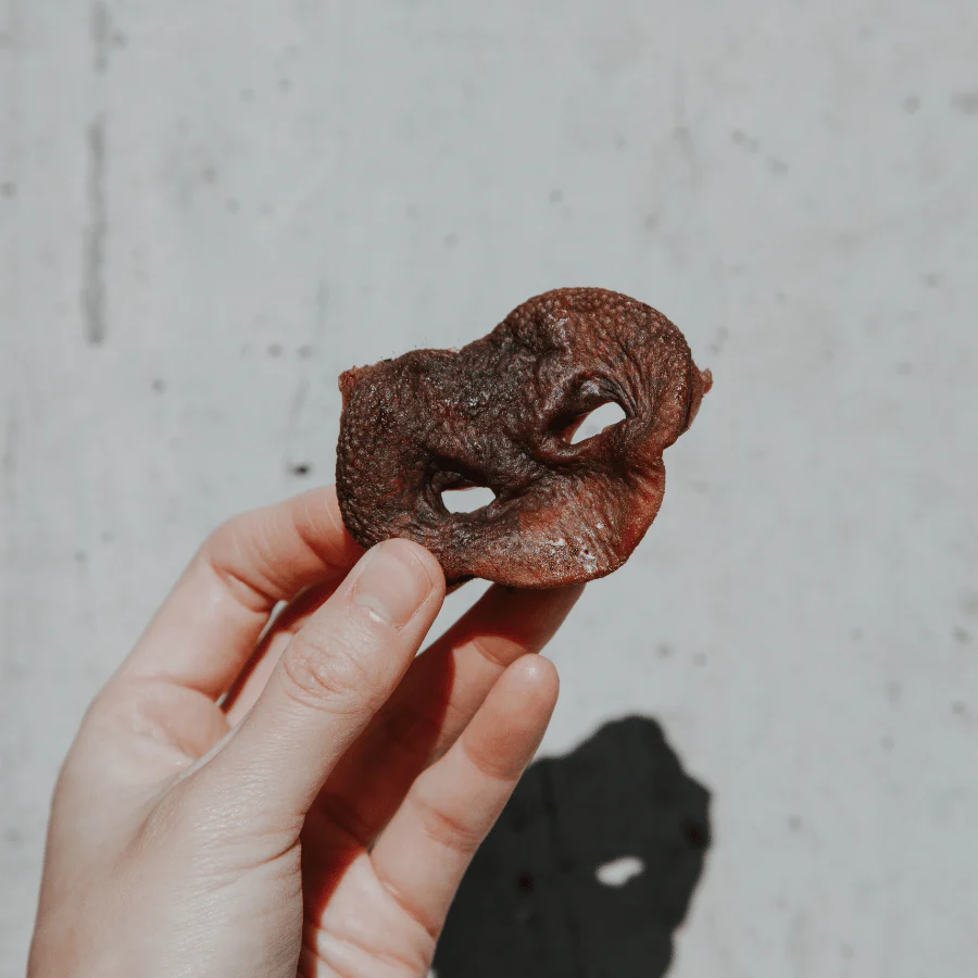 Pig Snouts - Image 4