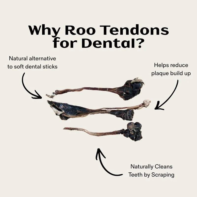 Short Roo Tendons - Image 3