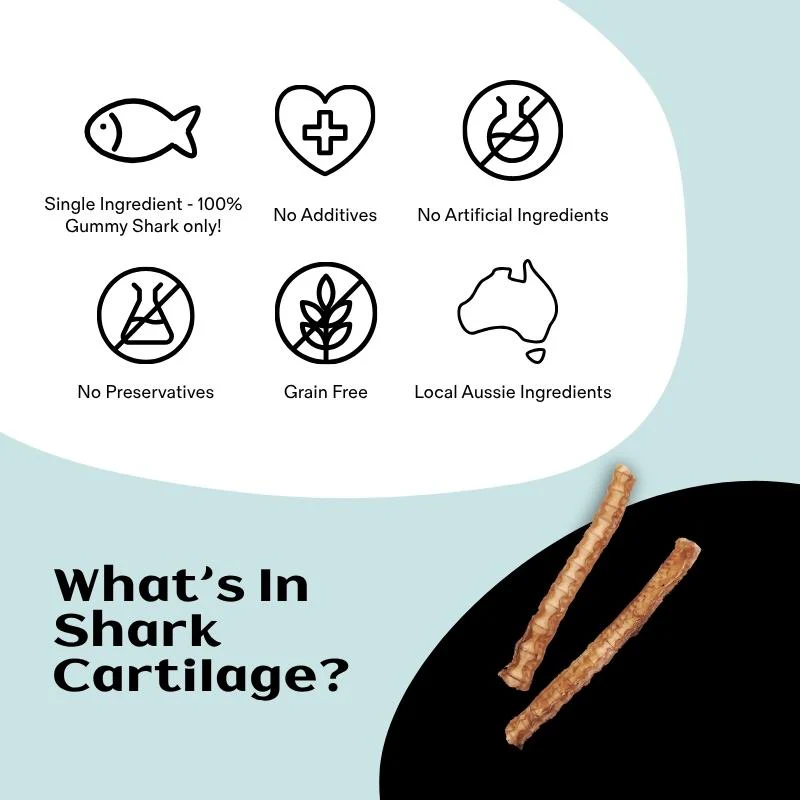 Thin Shark Cartilage Air Dried - Image 4