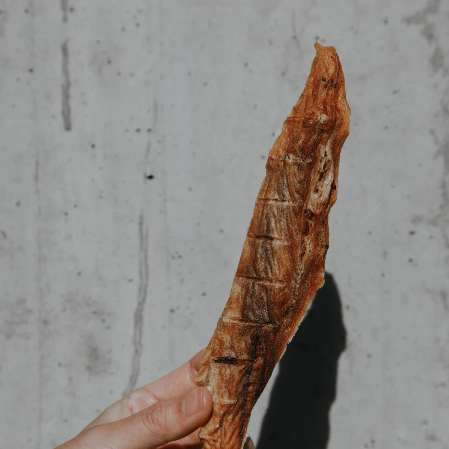 [SOLD OUT!] Shark Fillet - Image 4